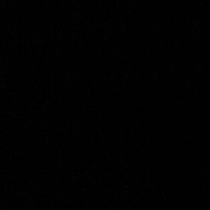 Meet your Posher, Ty